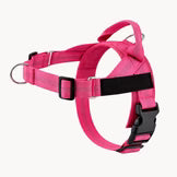Collar Hairo veltrio™ – Antitirones, control total
