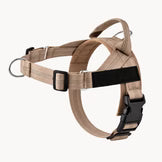 Collar Hairo veltrio™ – Antitirones, control total