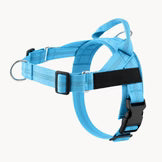 Collar Hairo veltrio™ – Antitirones, control total